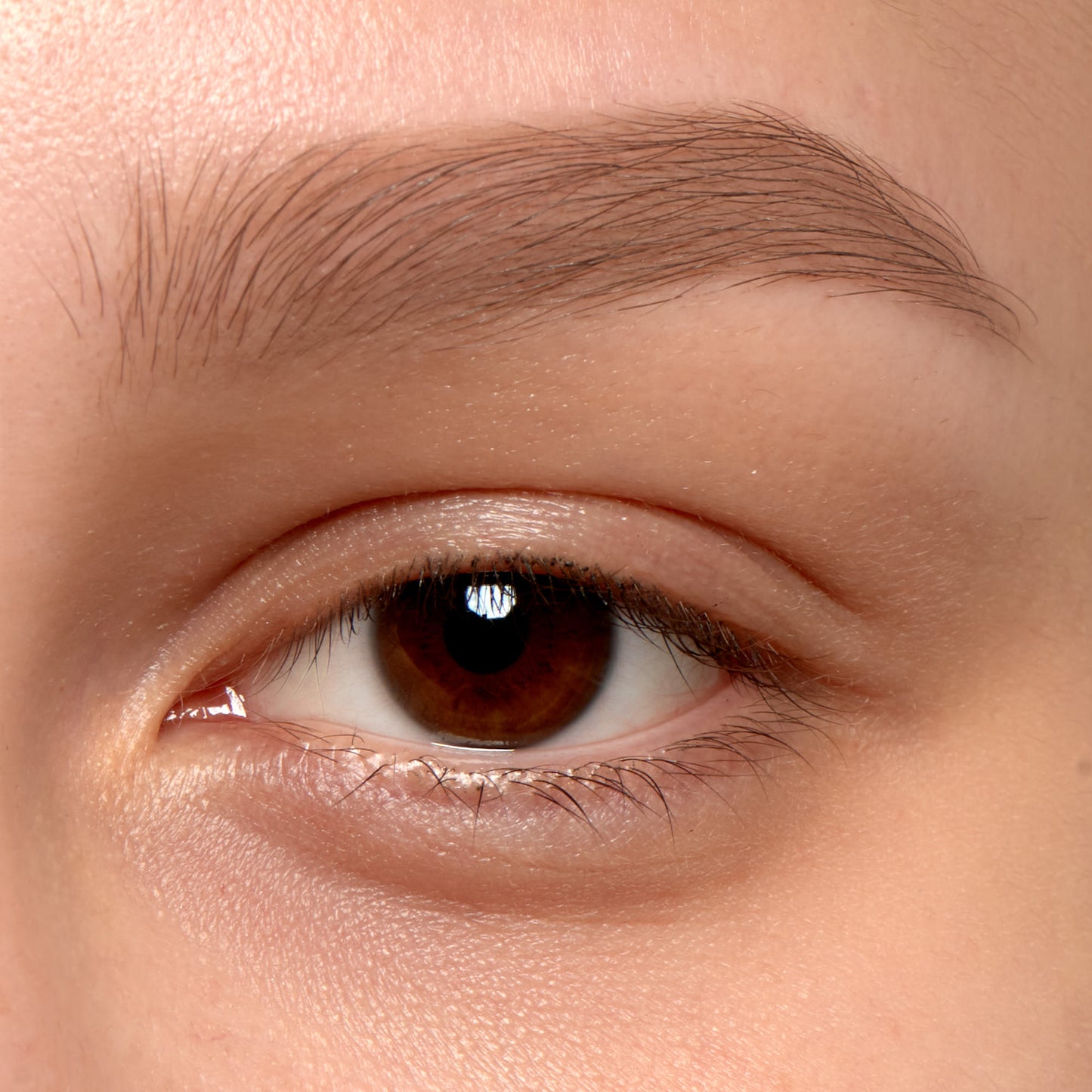 Uzacu gēls AMC BROW LINER GEL