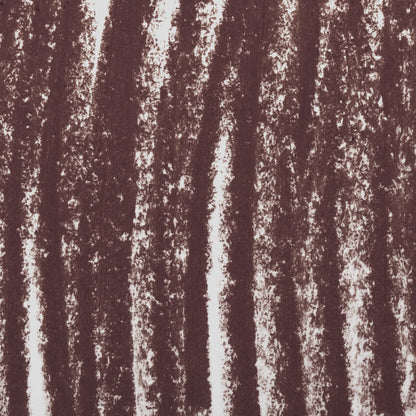 Matēta lūpu krāsa-zīmulis AMC LIP PENCIL MATTE