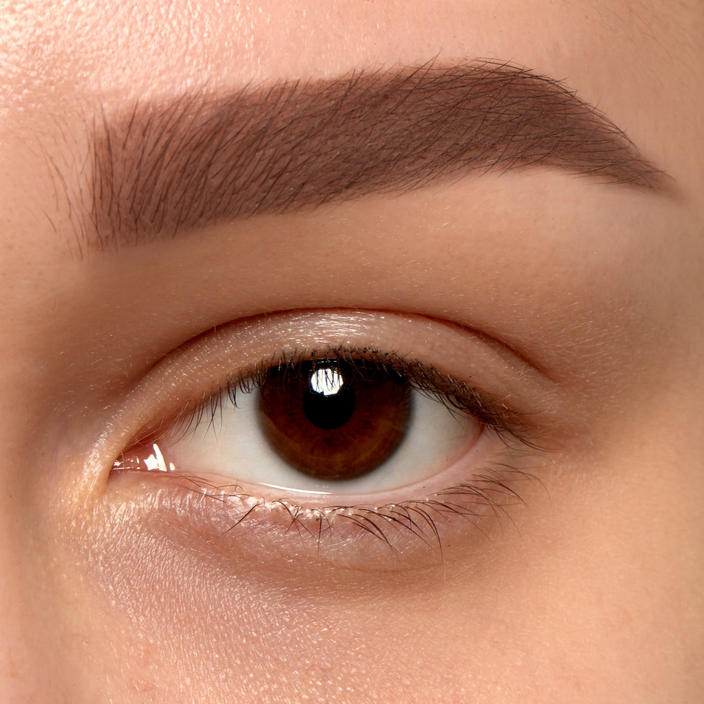 Uzacu gēls AMC BROW LINER GEL